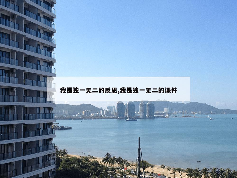 我是独一无二的反思,我是独一无二的课件