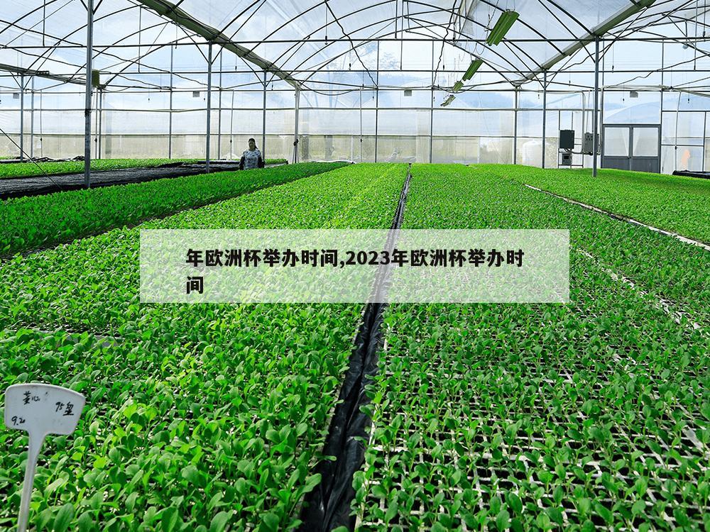 年欧洲杯举办时间,2023年欧洲杯举办时间