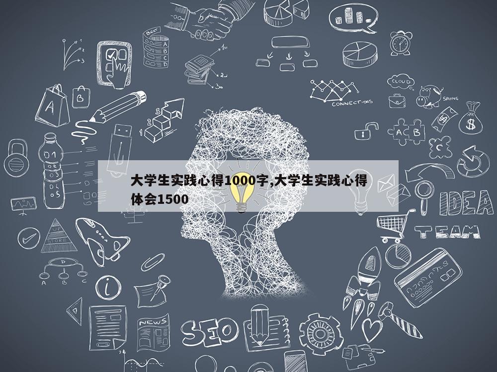 大学生实践心得1000字,大学生实践心得体会1500