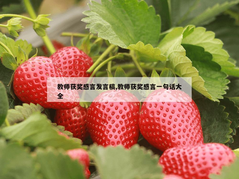 教师获奖感言发言稿,教师获奖感言一句话大全