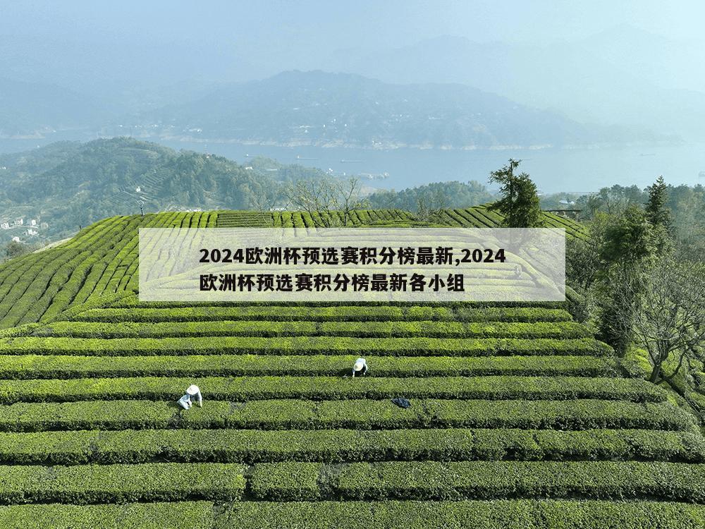 2024欧洲杯预选赛积分榜最新,2024欧洲杯预选赛积分榜最新各小组