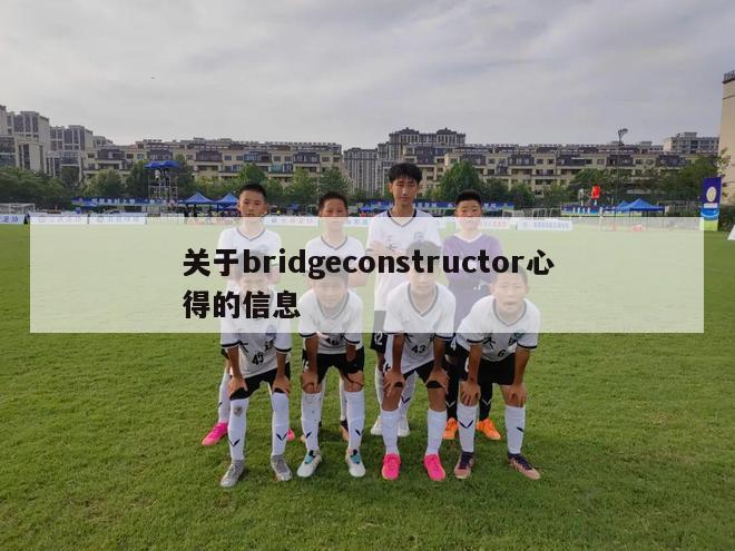 关于bridgeconstructor心得的信息