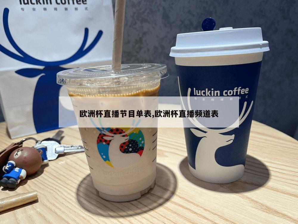 欧洲杯直播节目单表,欧洲杯直播频道表