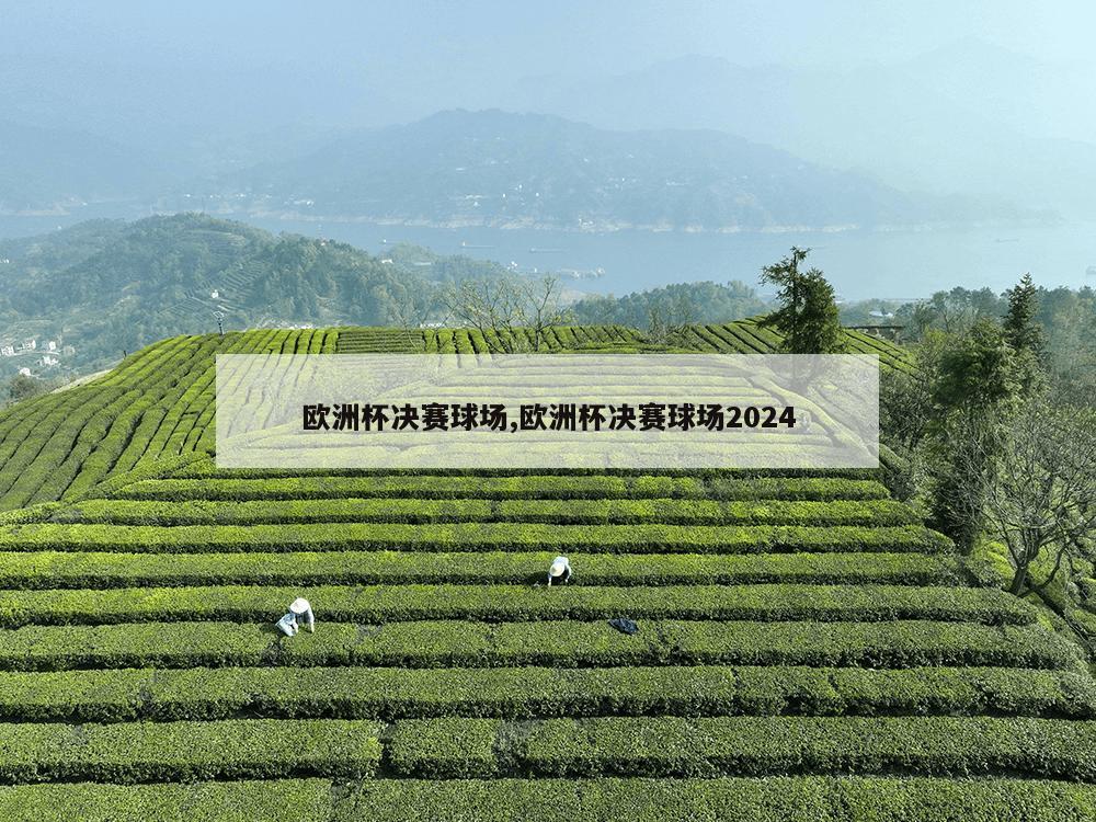 欧洲杯决赛球场,欧洲杯决赛球场2024