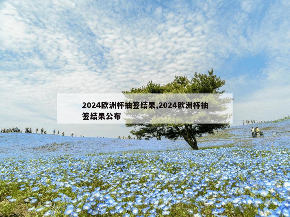 2024欧洲杯抽签结果,2024欧洲杯抽签结果公布